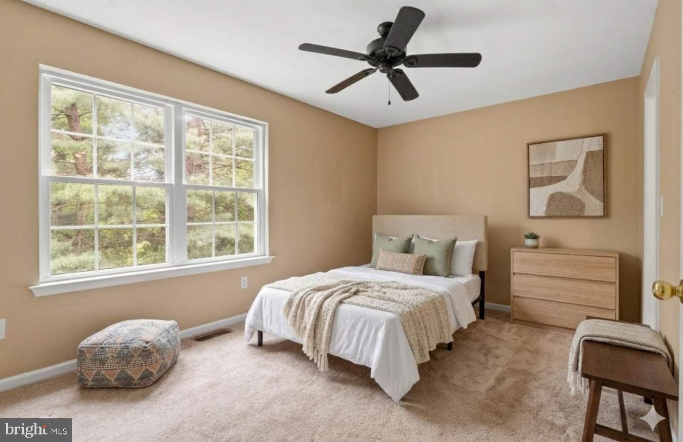 125 Evergreen Court photo 25