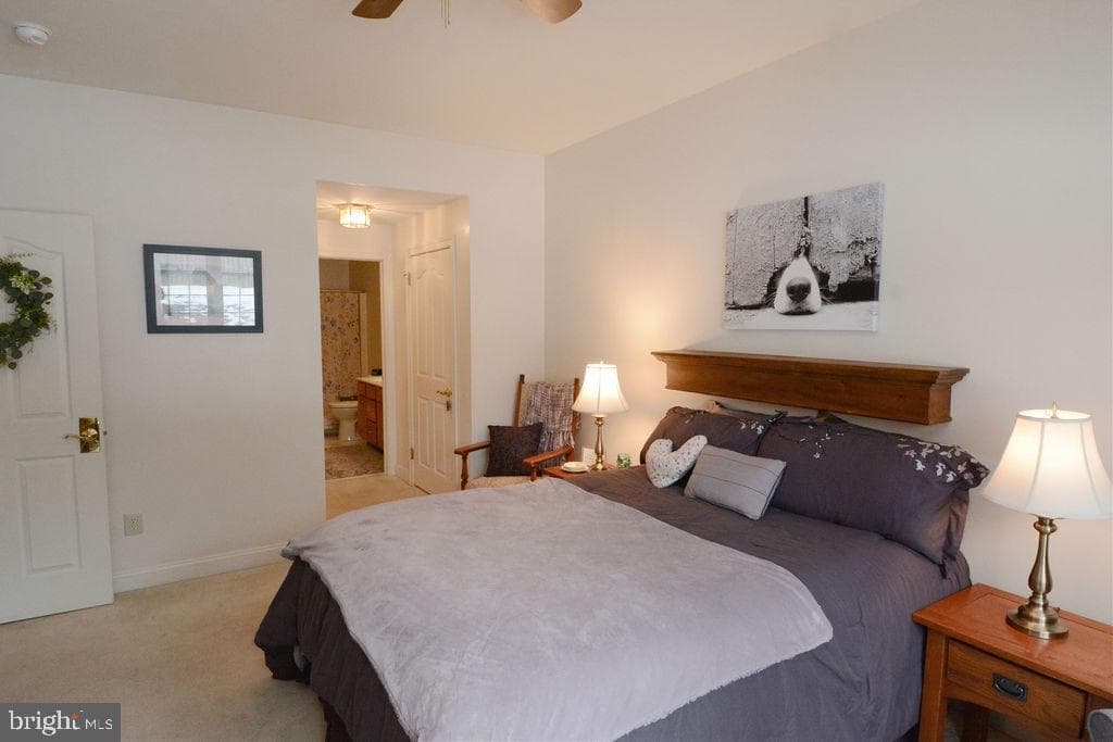 443 Ruth Court photo 23