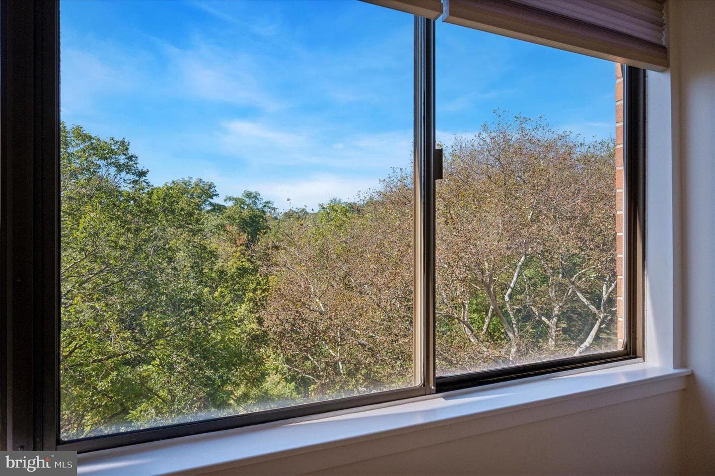 19 Rock Hill Road #7-D photo 9