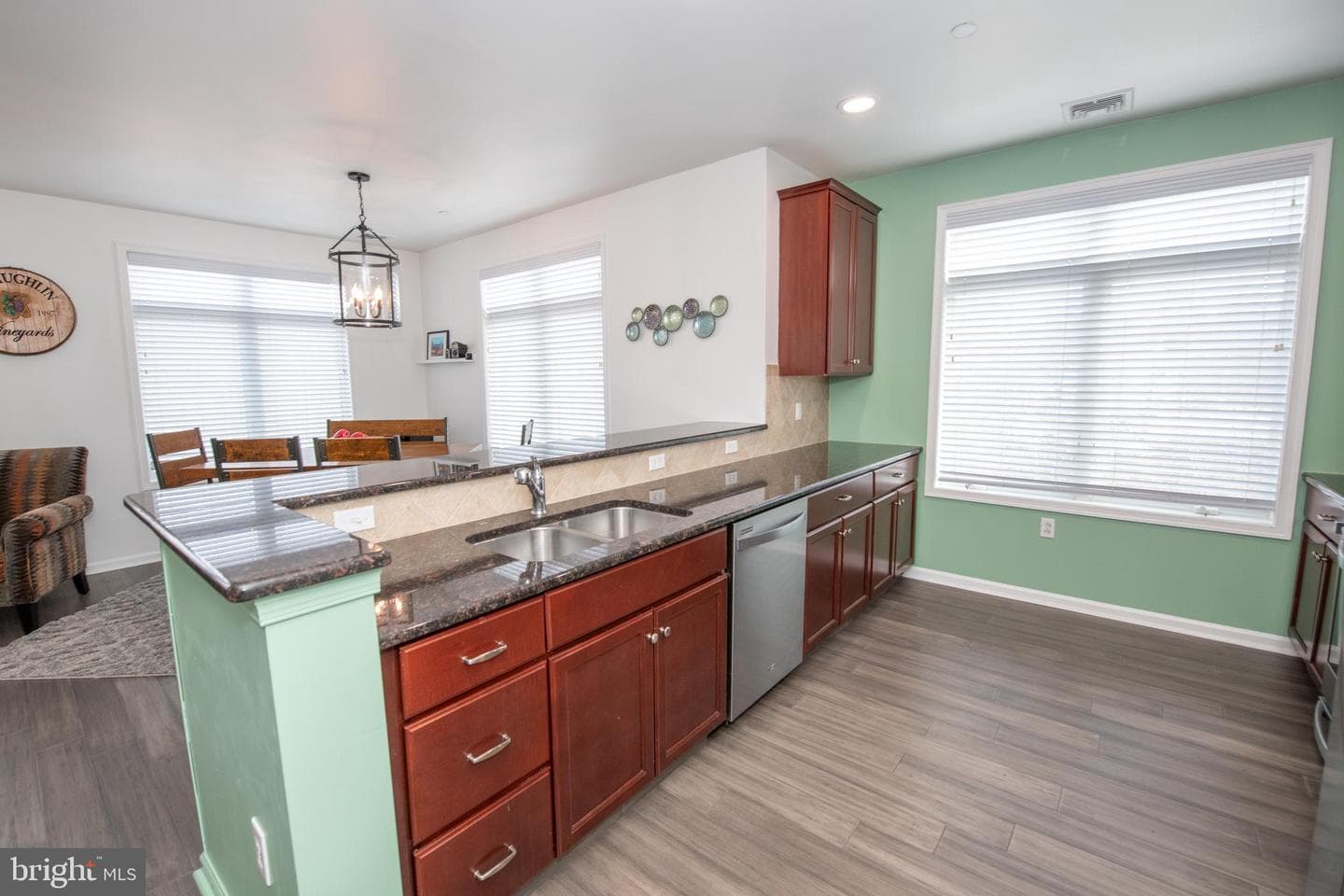 460 Carson Terrace photo 9