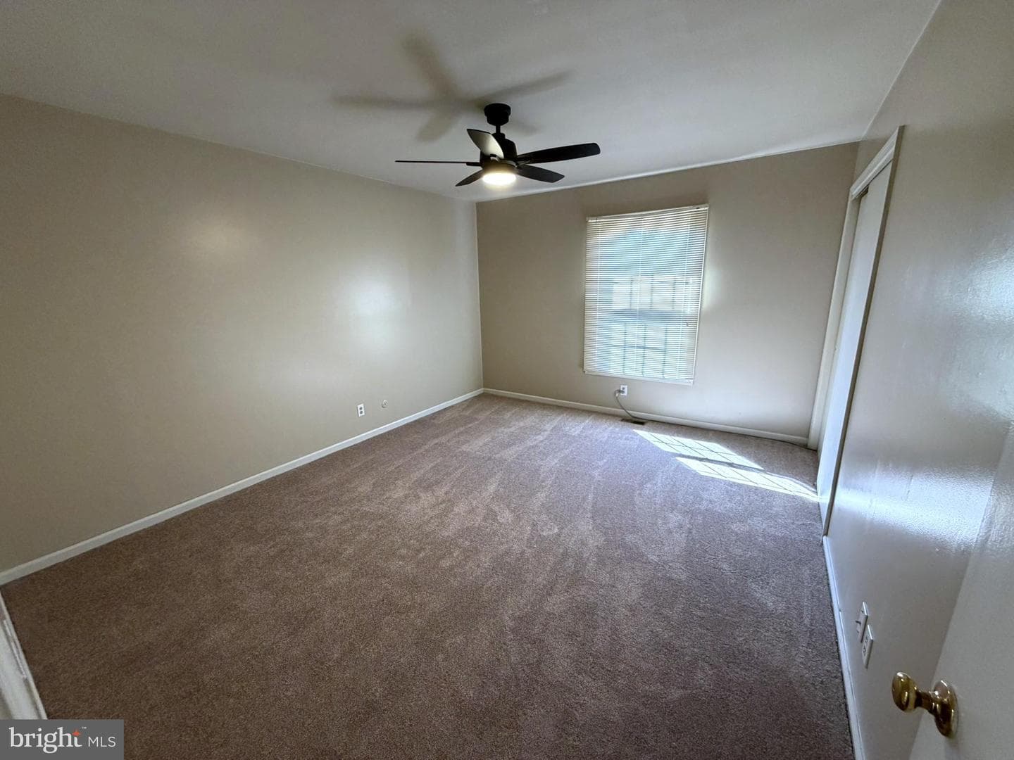 136 Albemarle Drive photo 20
