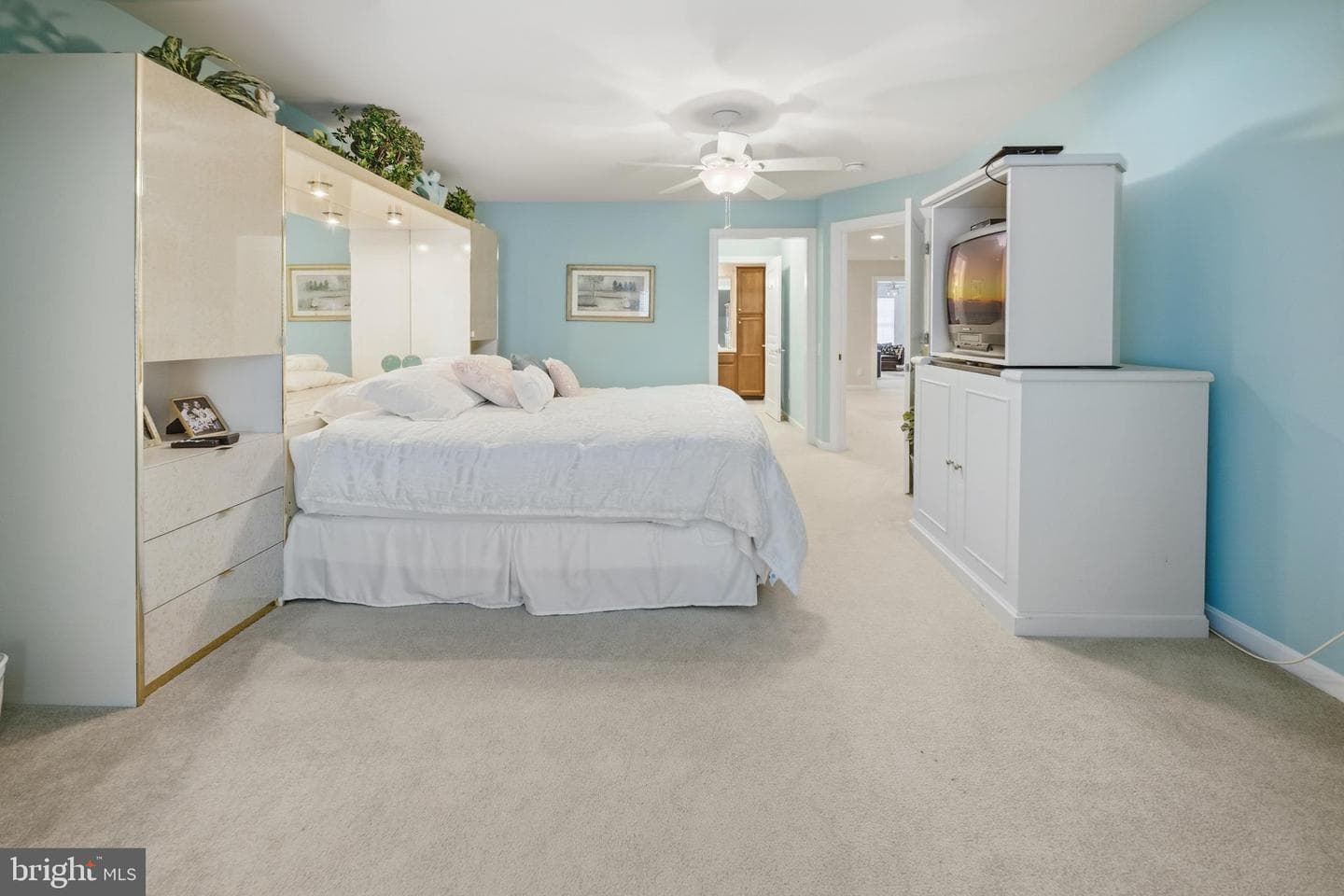 377 Primrose Drive photo 46
