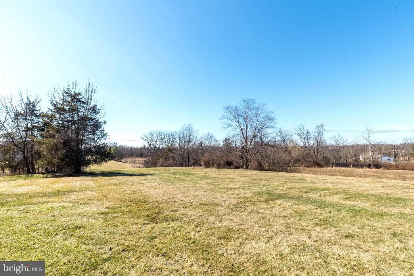 400 Calverton Court photo 6