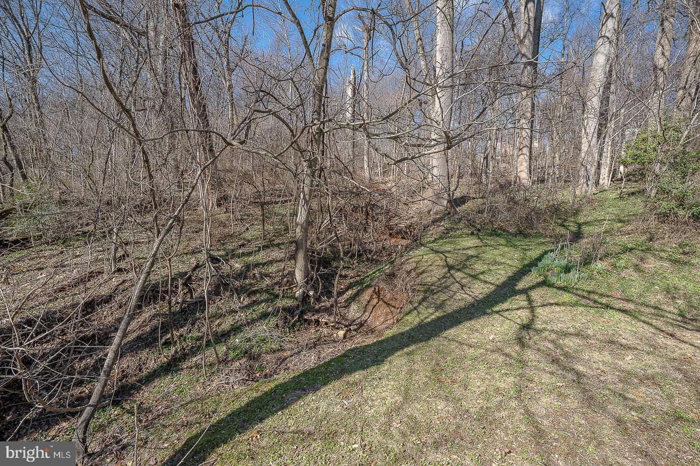 485 Garrison Way photo 57