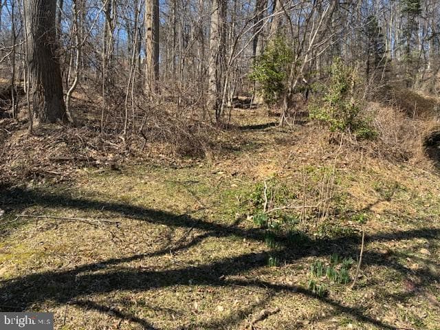 485 Garrison Way photo 7