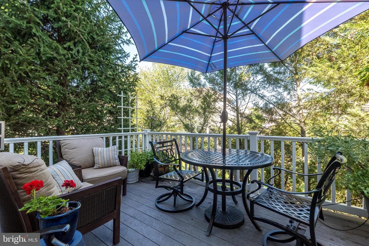 279 Goldenrod Drive photo 6