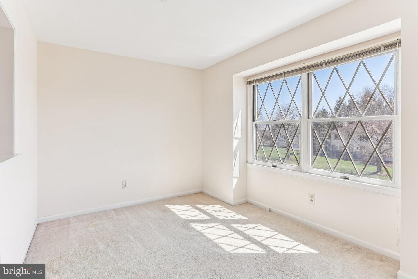 1 Saljon Court photo 35