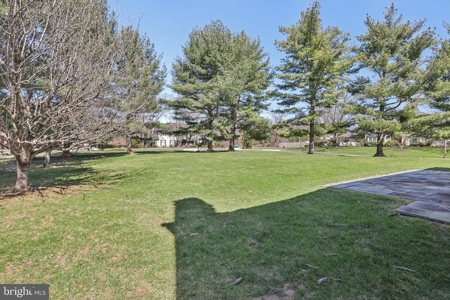 1 Saljon Court photo 73