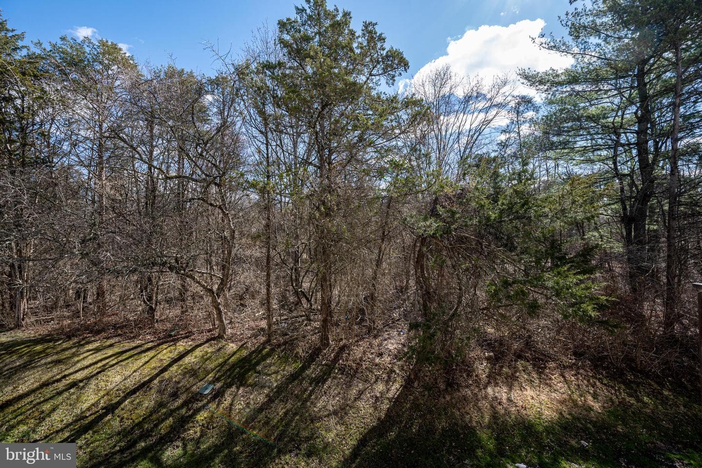 1146 Valley Stream Drive photo 37