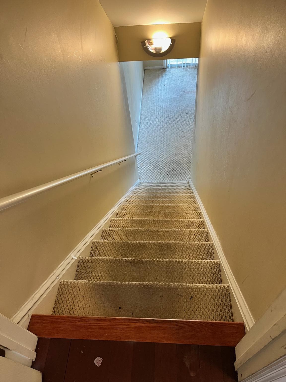 610 Brentwood Court photo 15