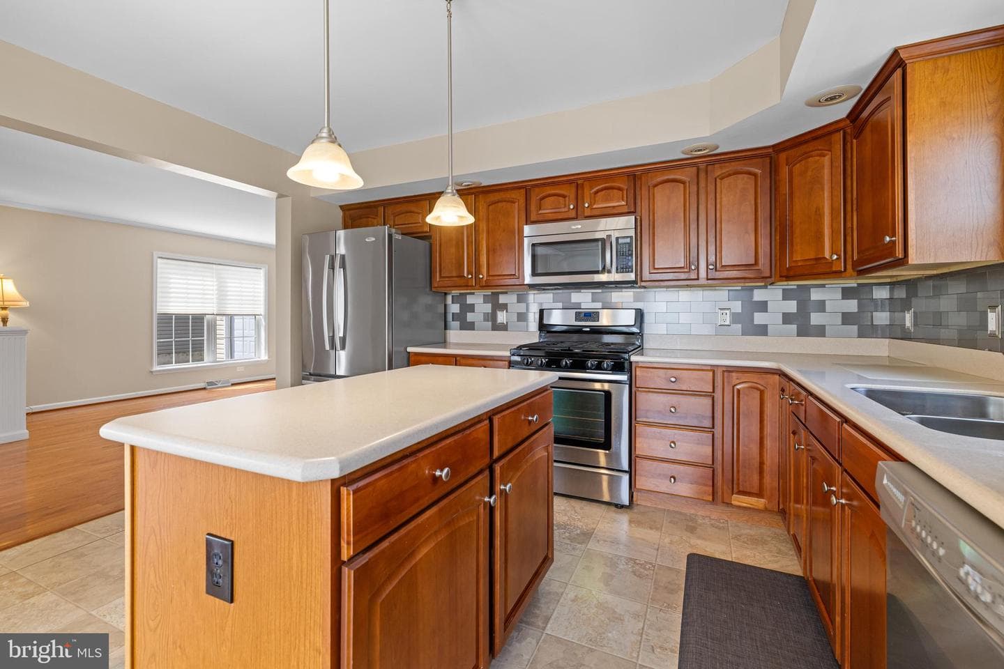 411 Dandelion Drive photo 9