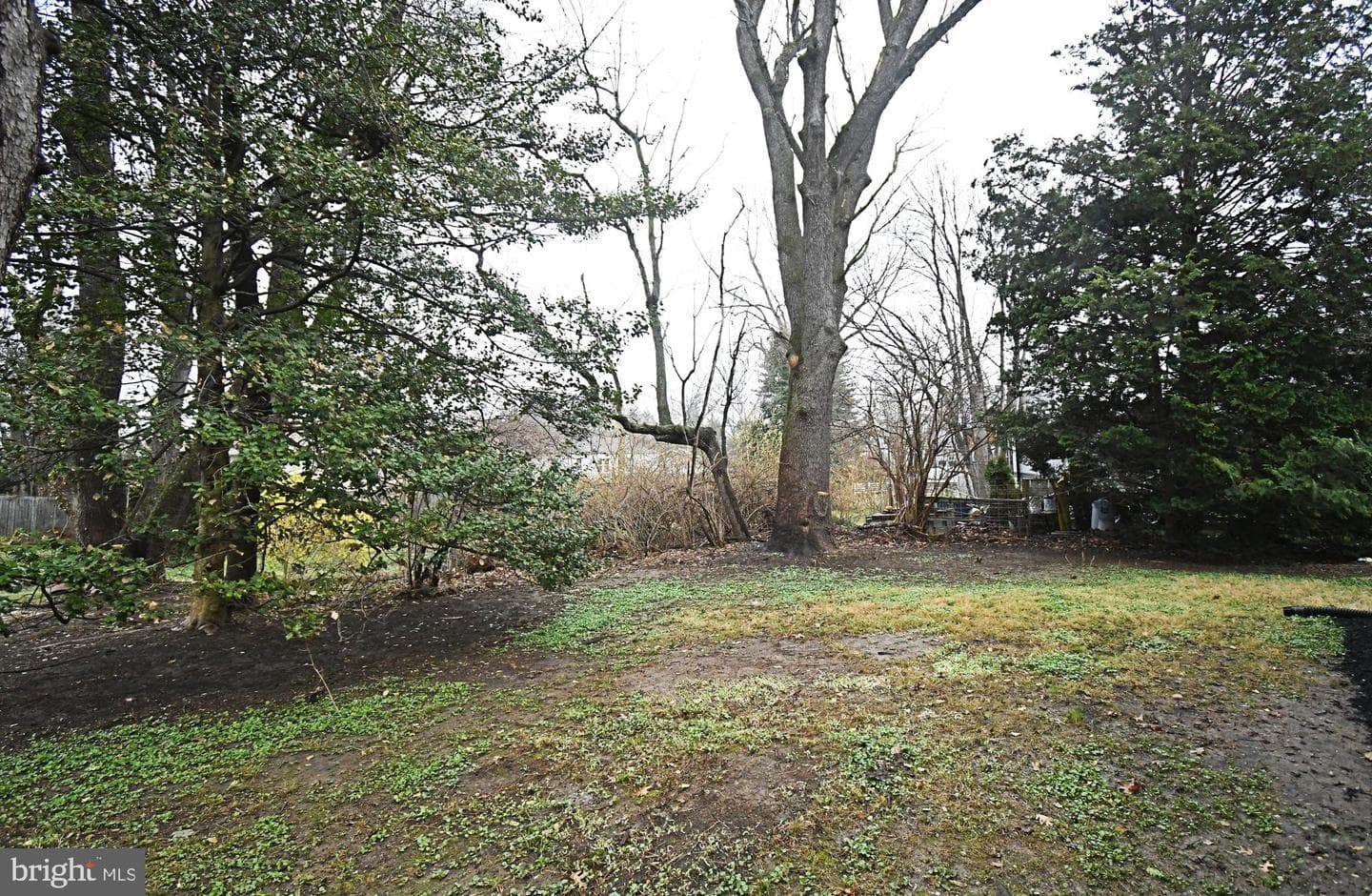 507 Croyden Road photo 47