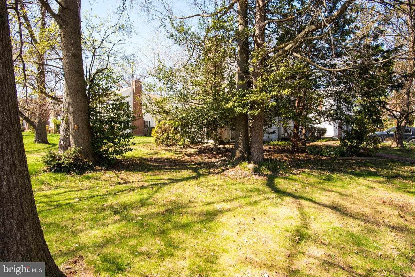 800 Forrest Street photo 42