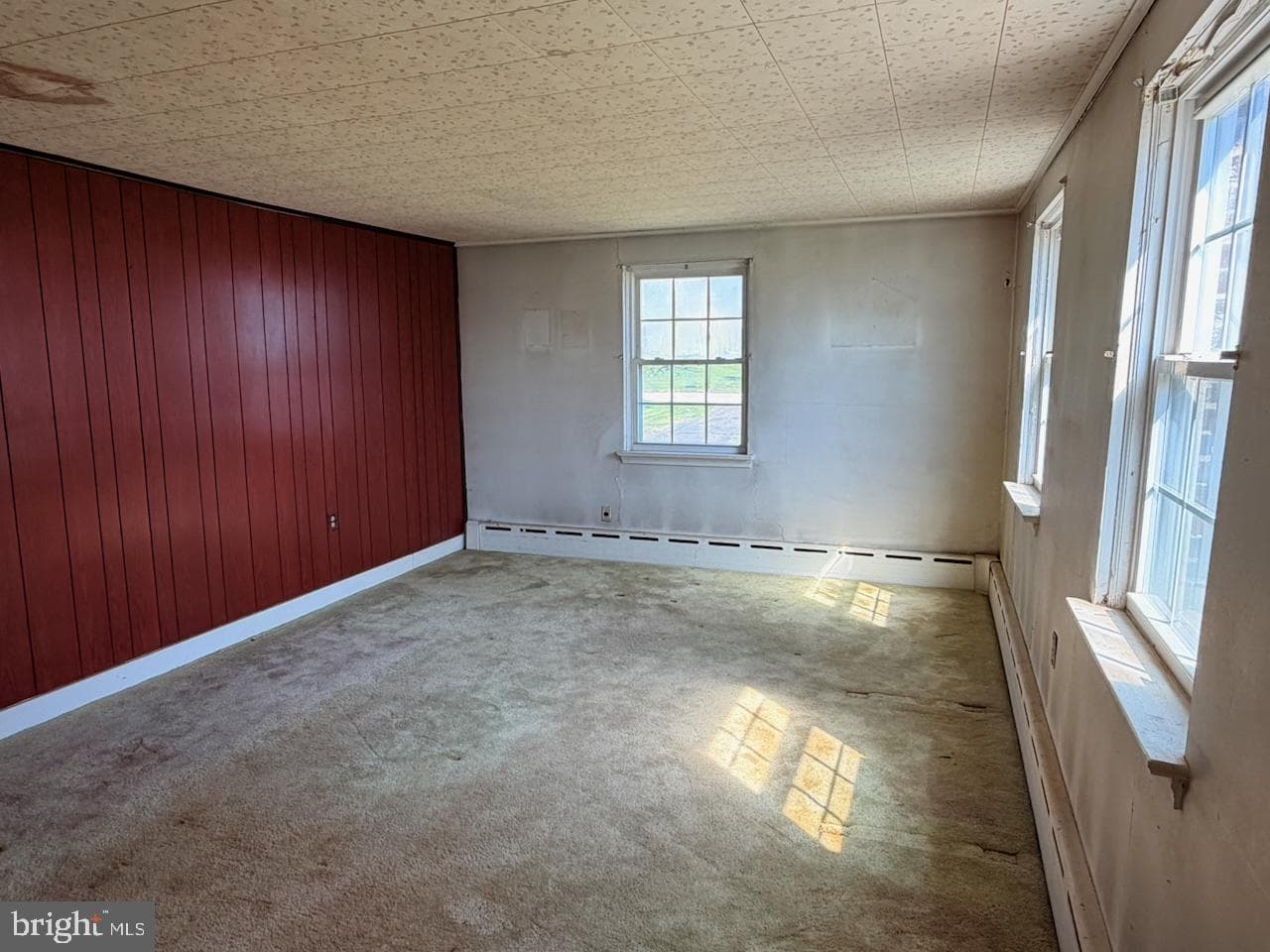 318 Chestnut Street photo 5