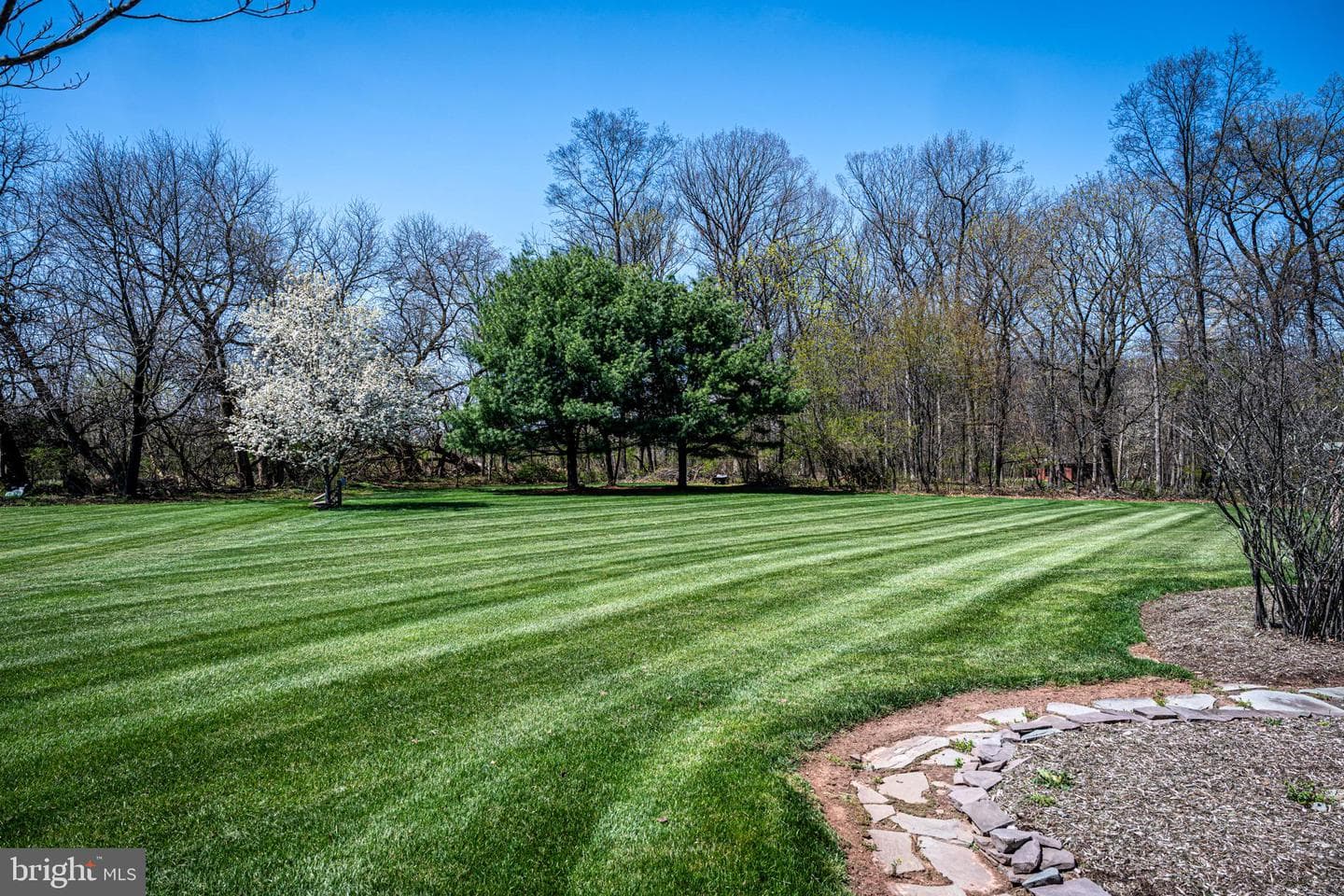 133 Greenwood Avenue photo 43