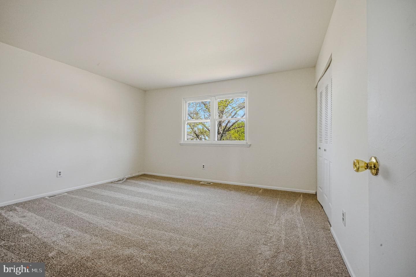 140 Wildflower Drive photo 19
