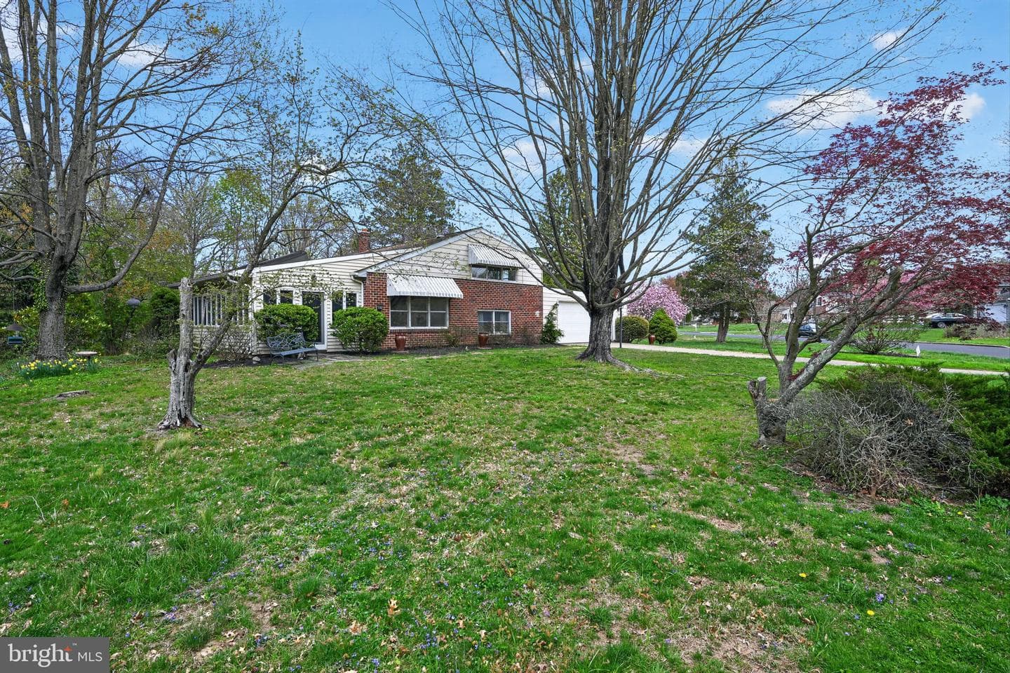 50 Ivy Lane photo 3