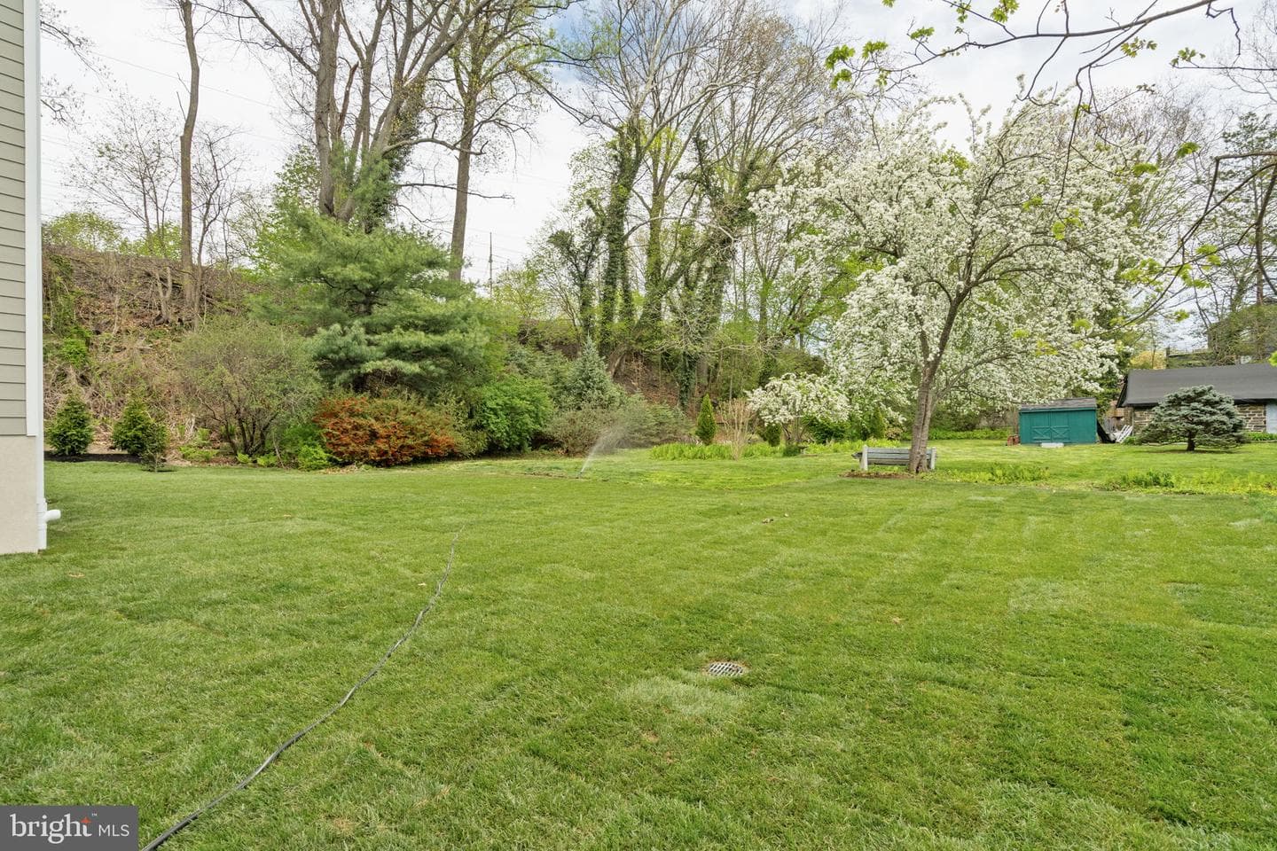 13 Elmwood Avenue photo 85