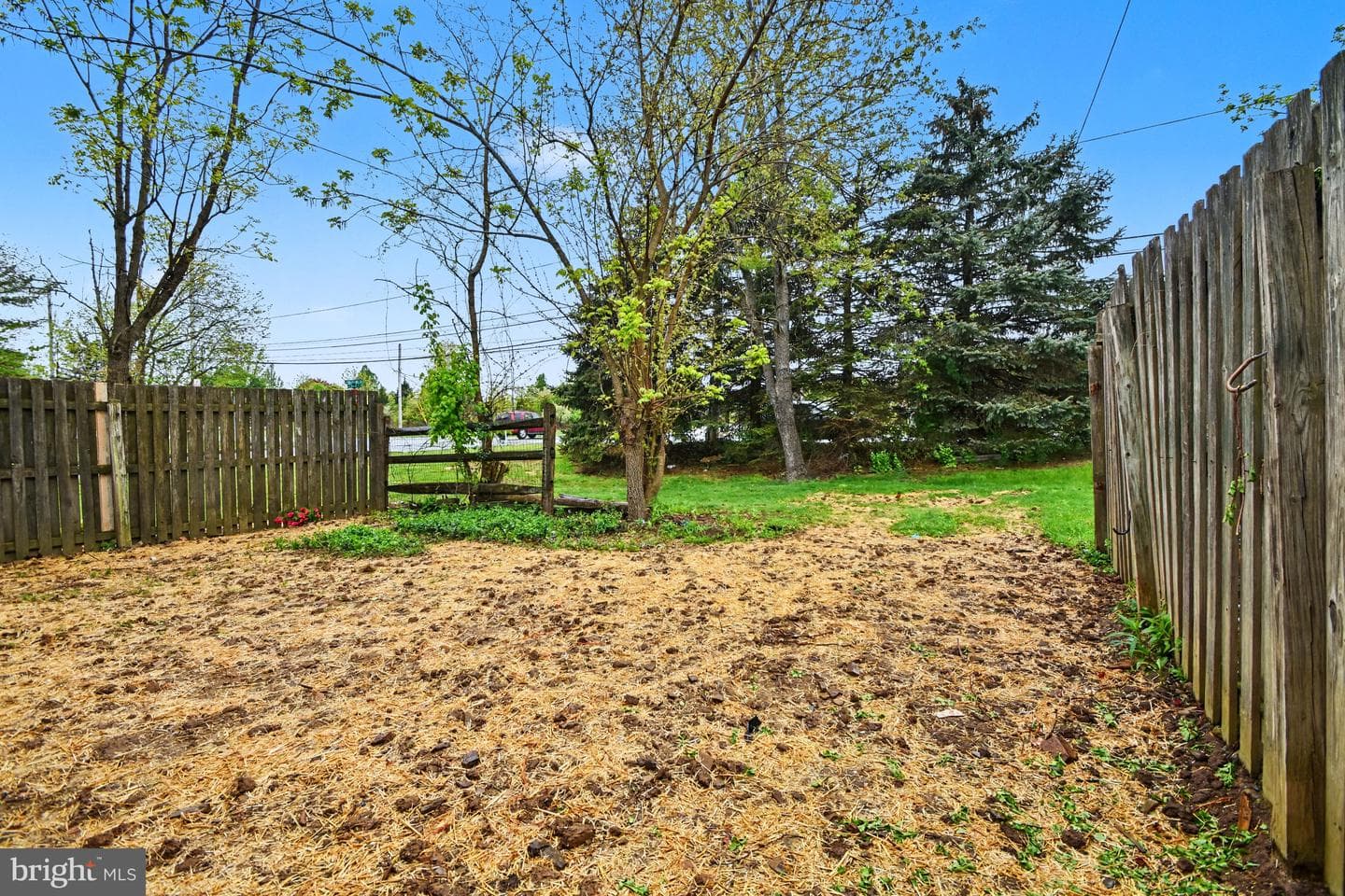 3001 Cardin Place photo 34