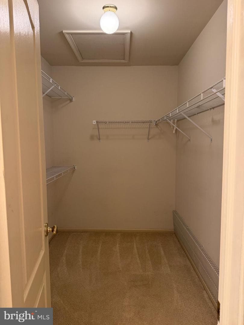 373 Carmen Drive photo 17