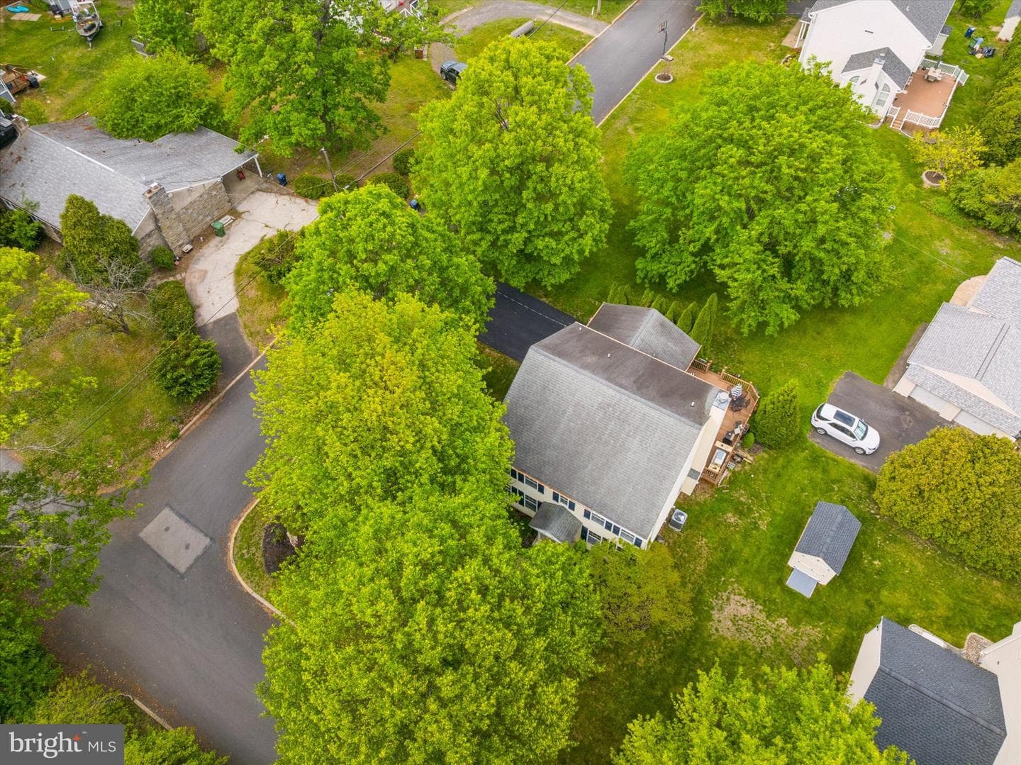1001 Windsor photo 36