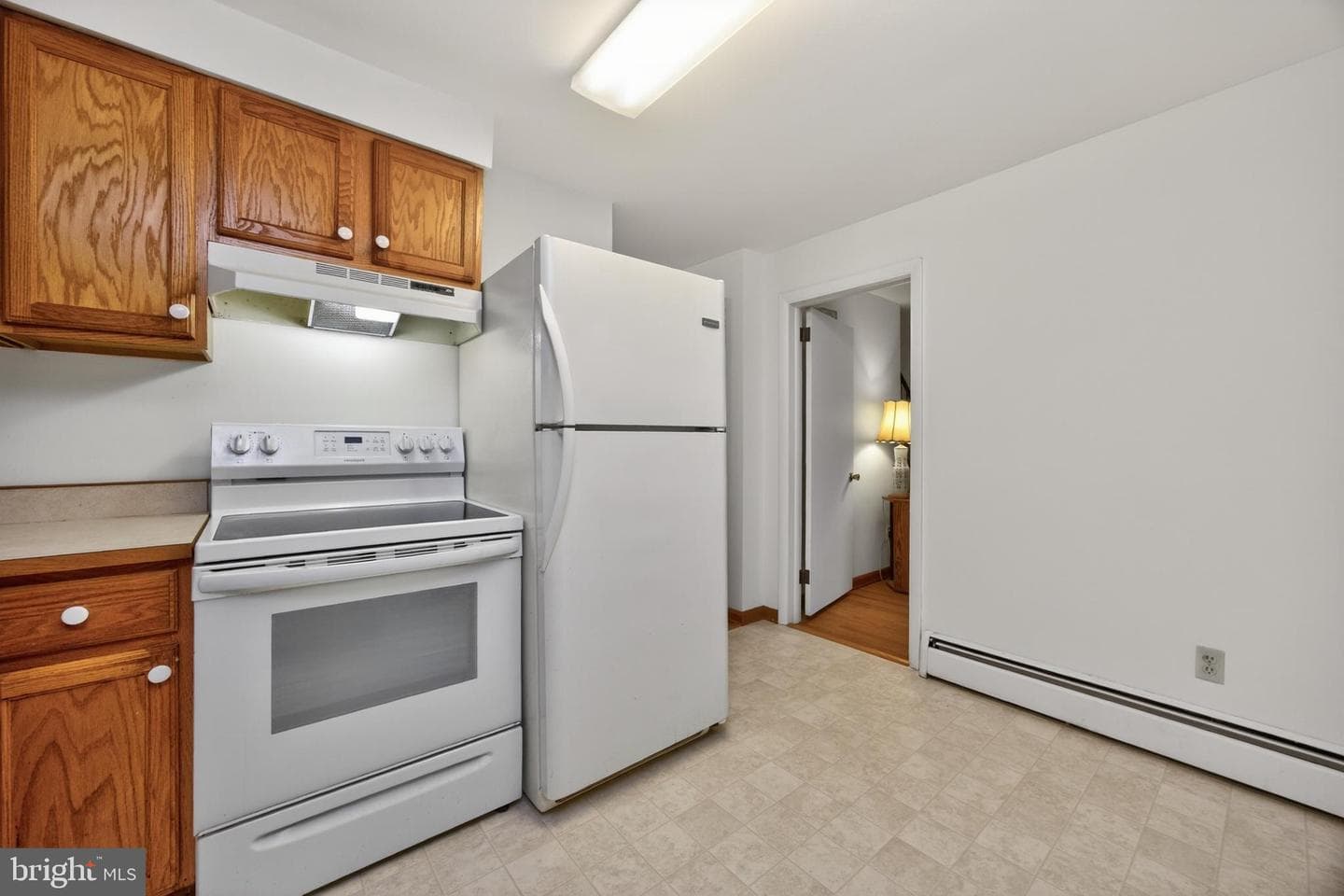 234 W Chestnut Street photo 5