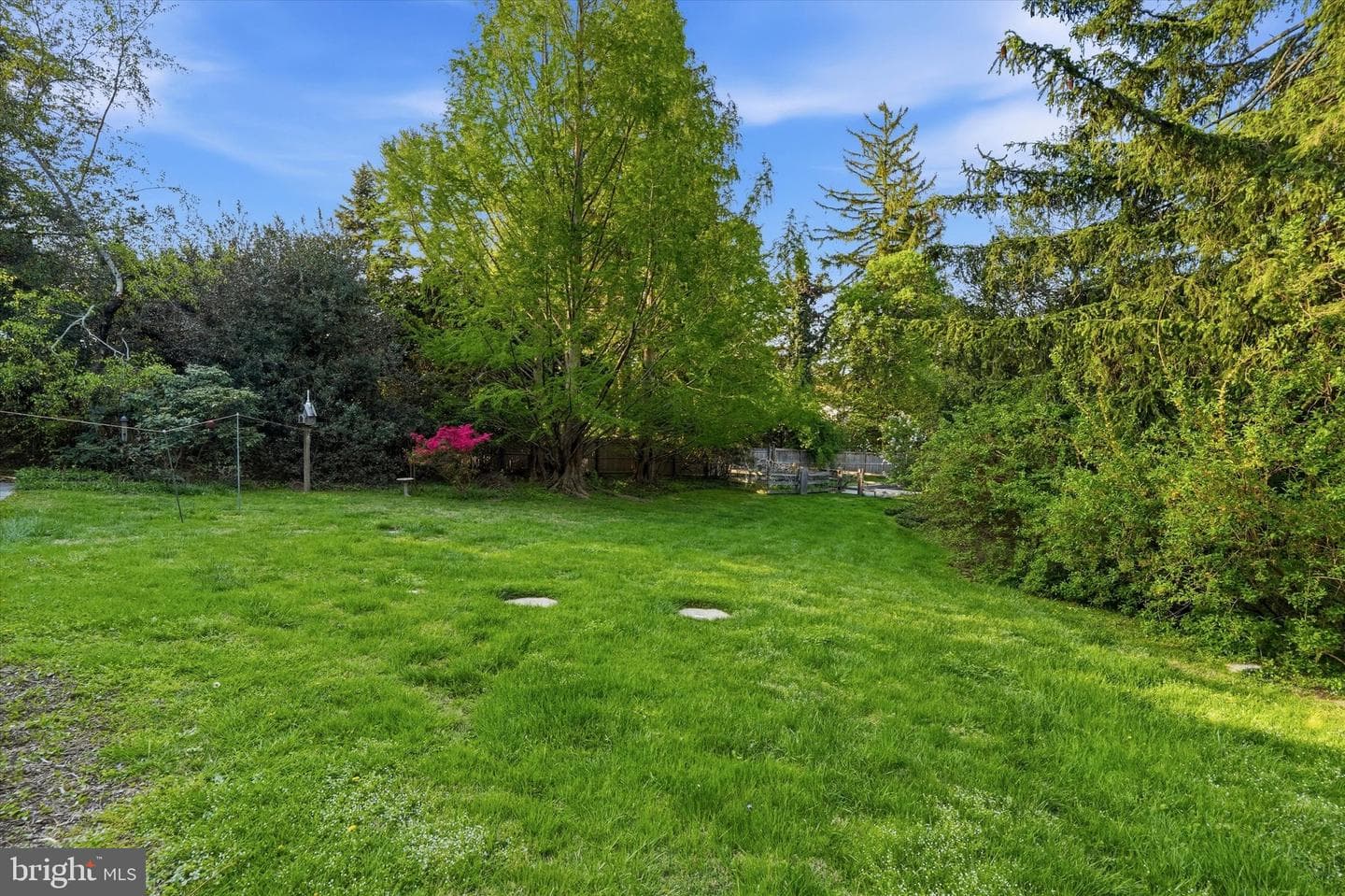 8643 Montgomery photo 29