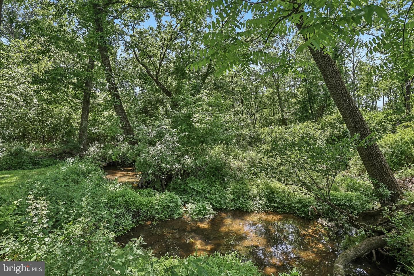 1431 Dreshertown Road photo 57