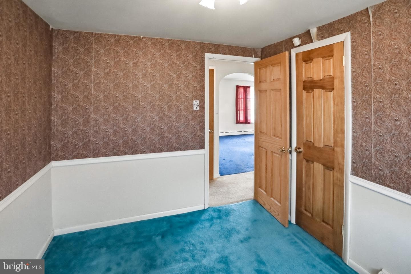 54 Douglas Street photo 21