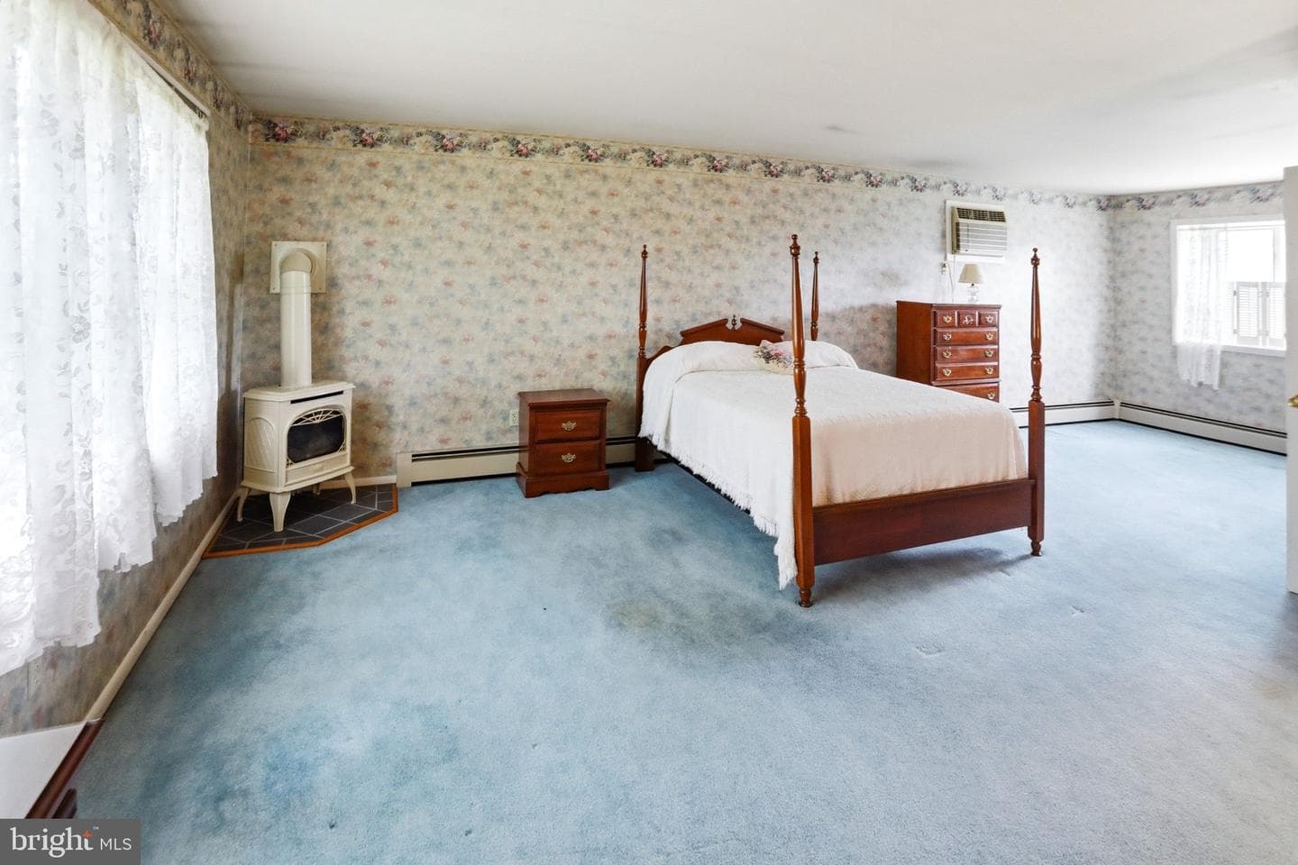 54 Douglas Street photo 28
