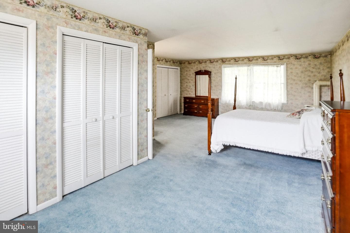 54 Douglas Street photo 30