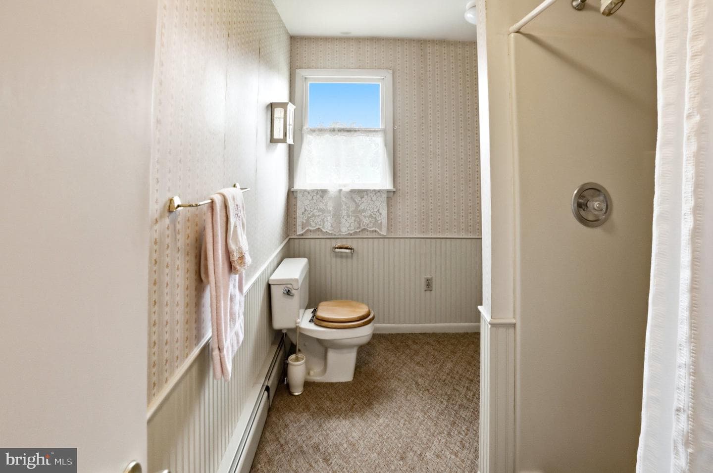 54 Douglas Street photo 31