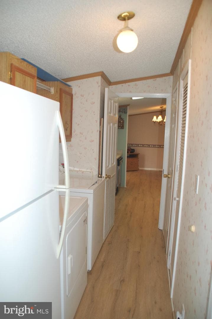 316 Hidden Springs Drive photo 19