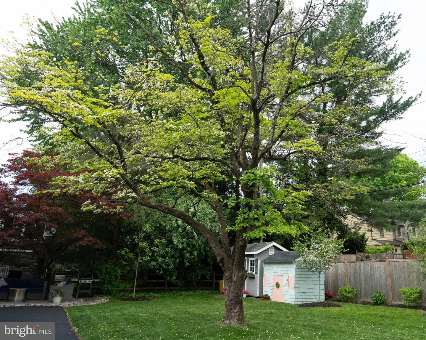 722 Argyle Road photo 14