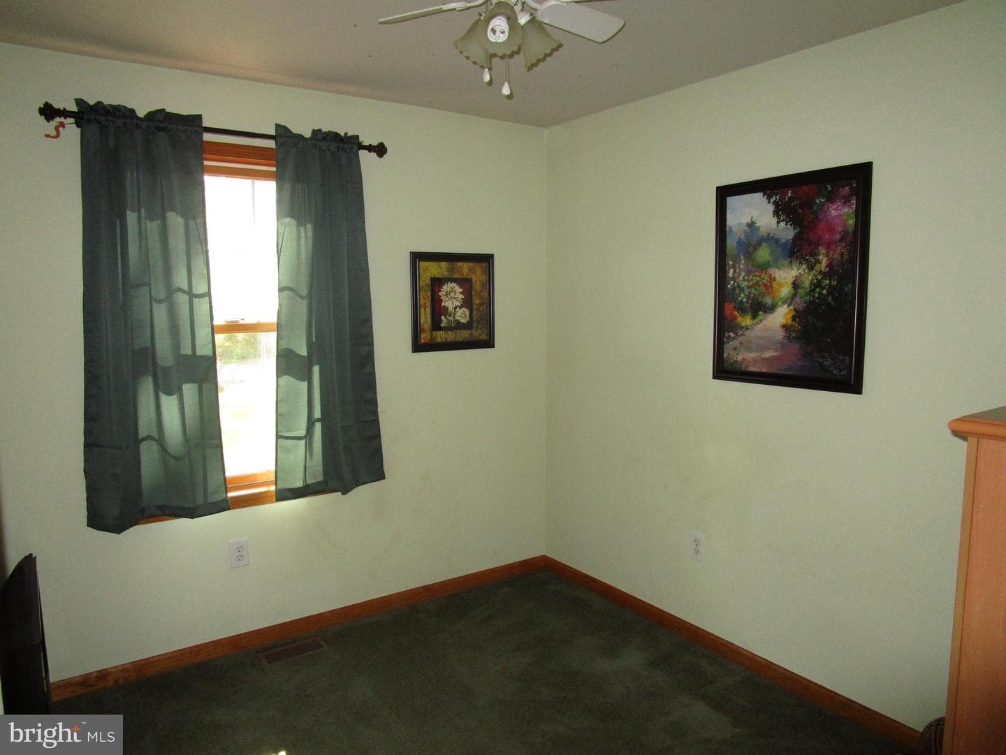 7 Mary Hill Road photo 14