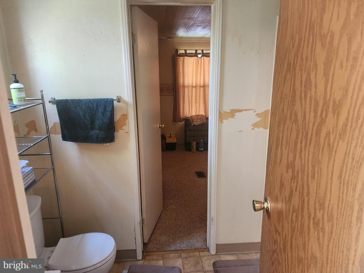 733 Dogwood Drive photo 15