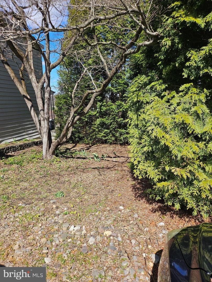 138 Ebenezer Avenue photo 4