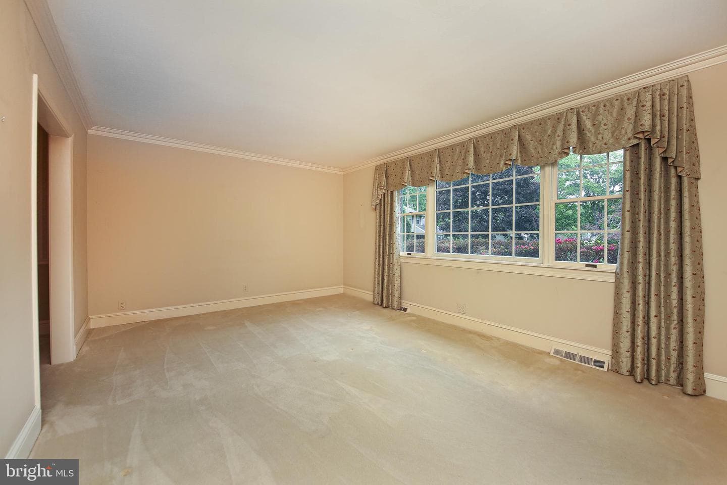 115 Hedgerow Place photo 10