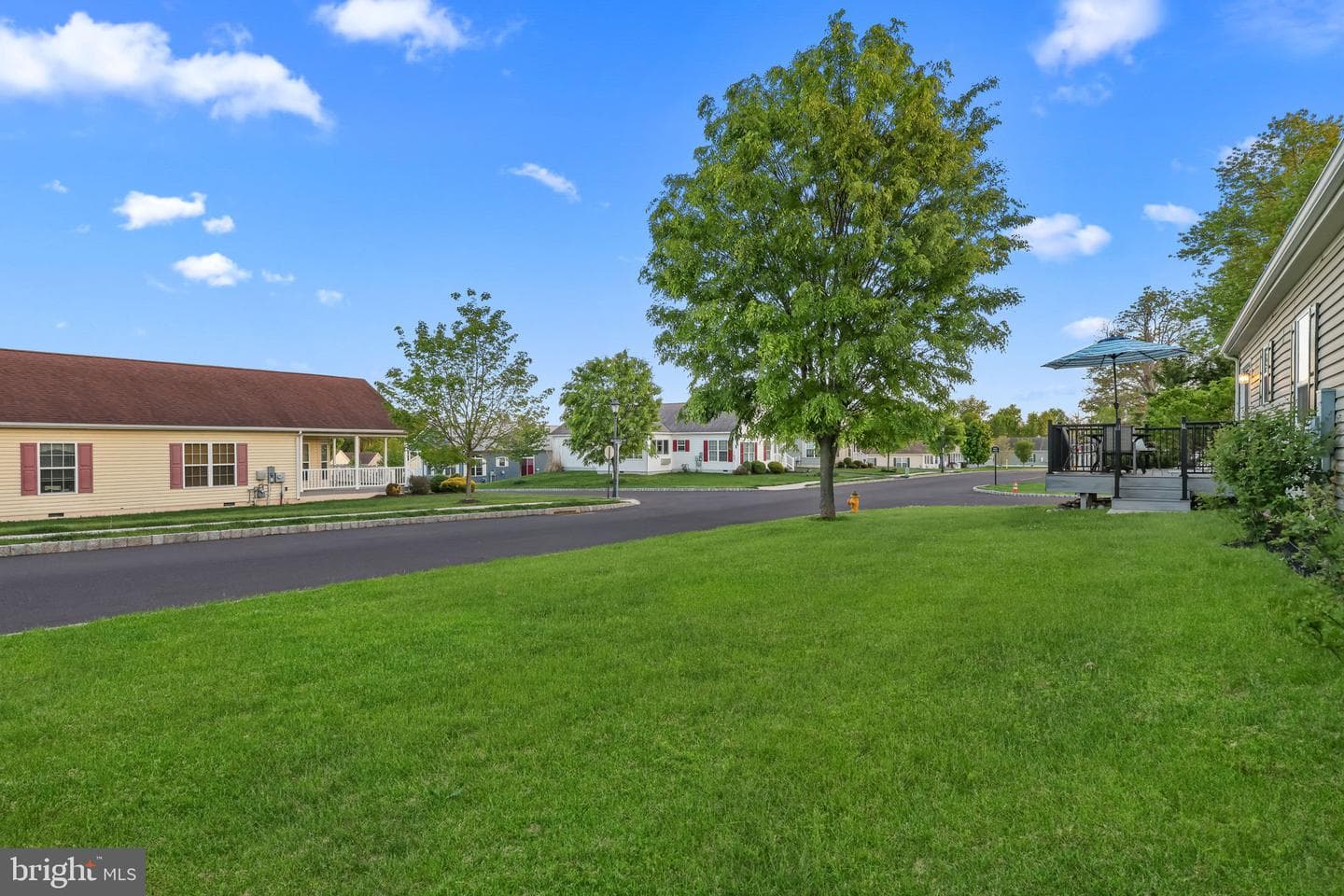 423 Delphinium Way photo 33