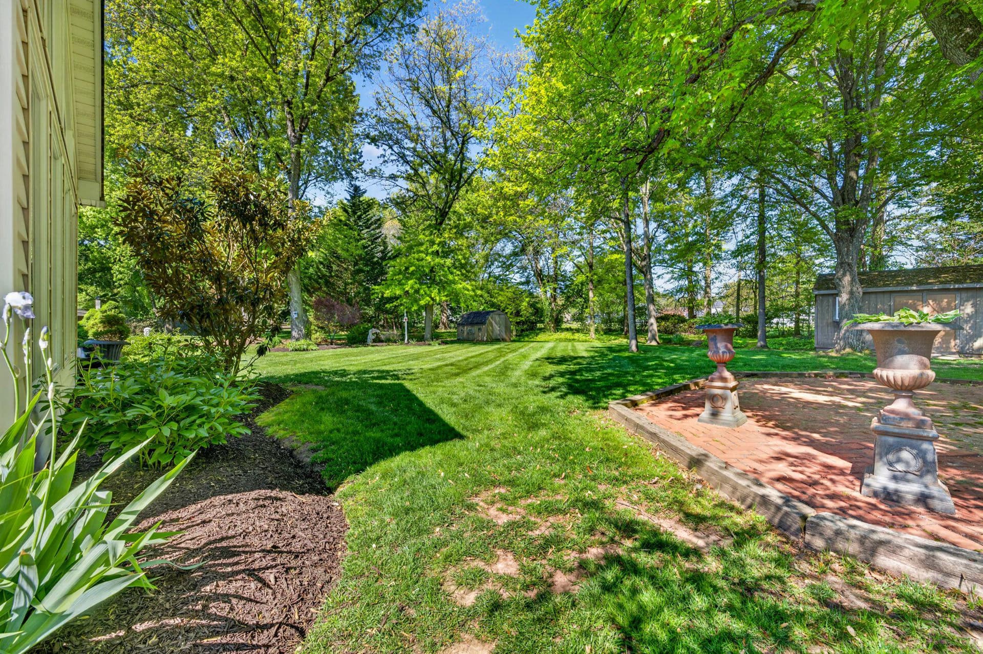 556 Grapevine Drive photo 62