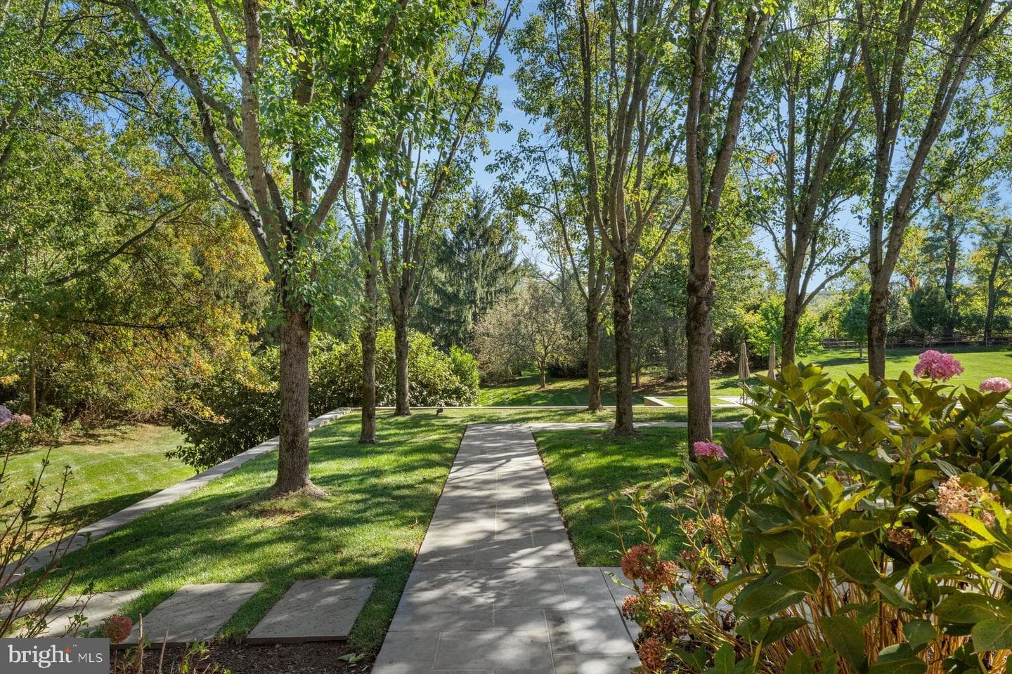 6220 Sheaff Lane photo 49