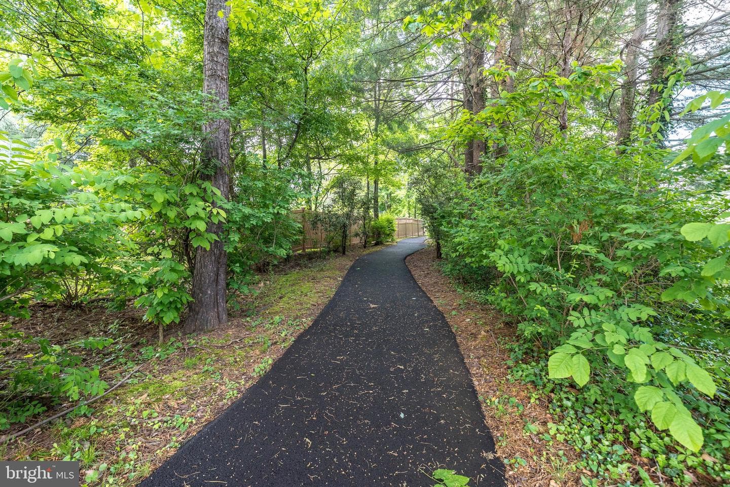 147 Wyndham Woods Way photo 42