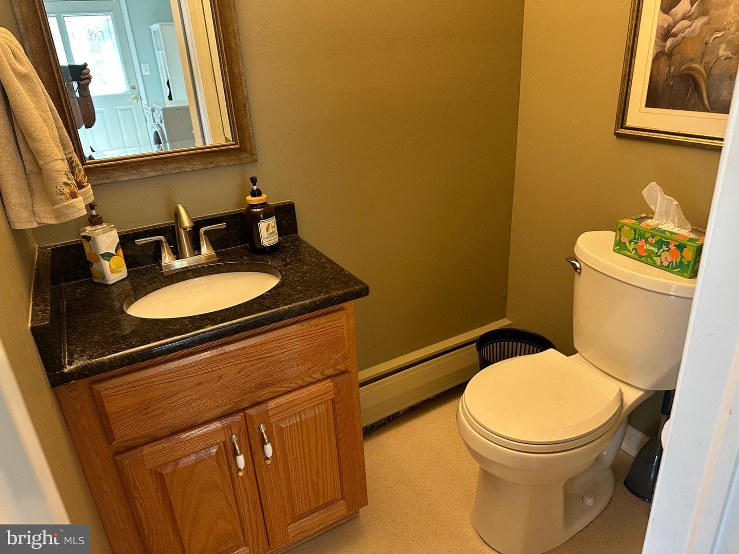 1325 Deflavis Circle photo 10