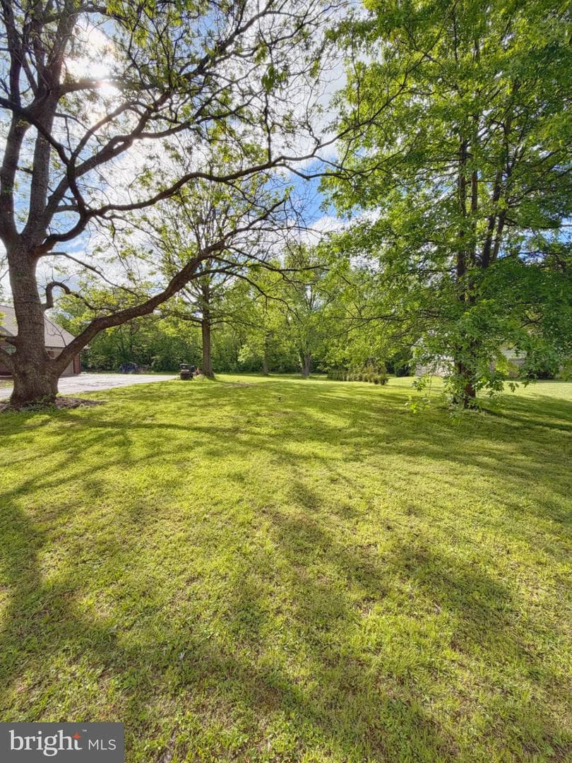 194 Congo Road photo 63