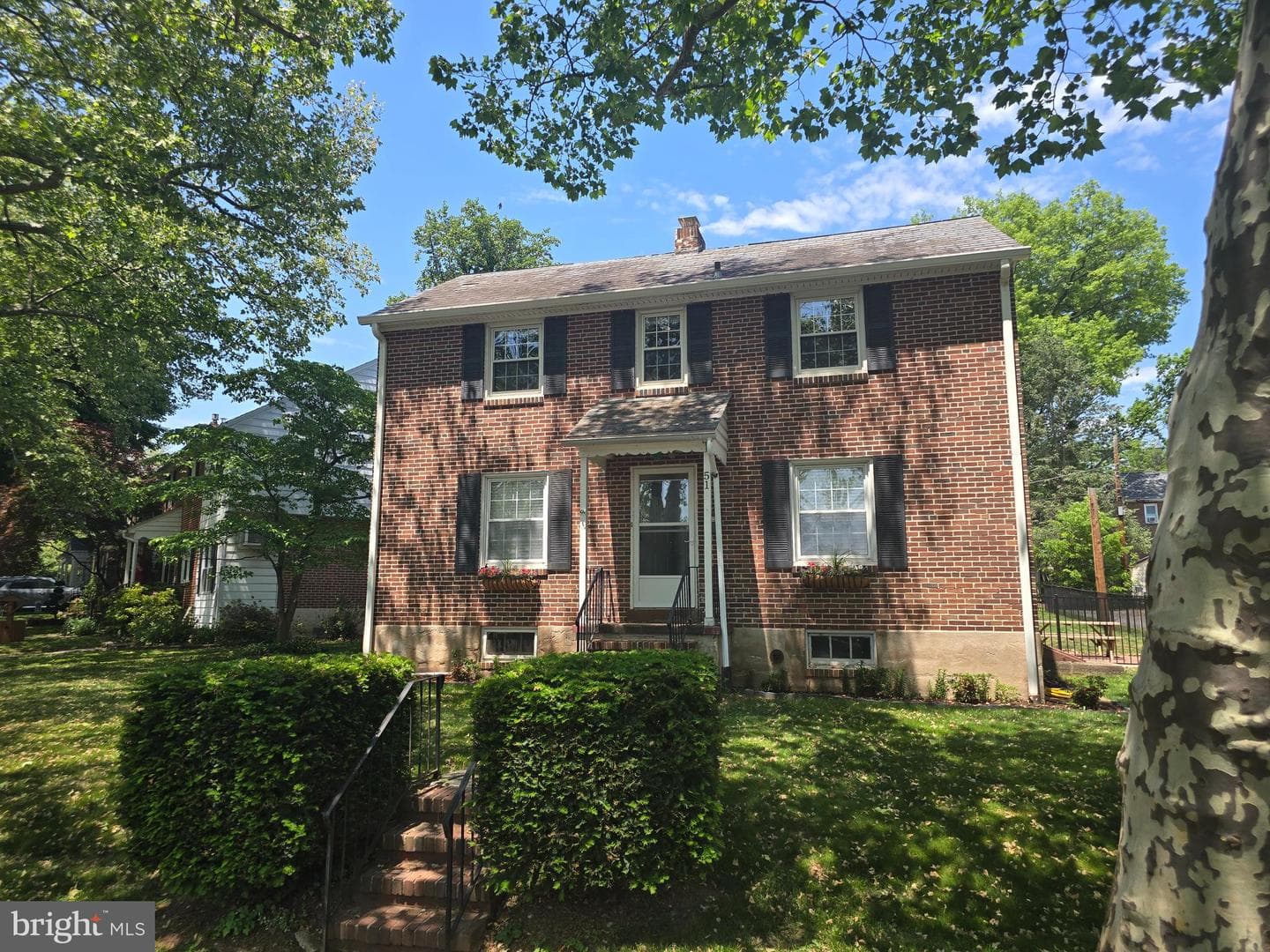 51 Cedar Street photo 4