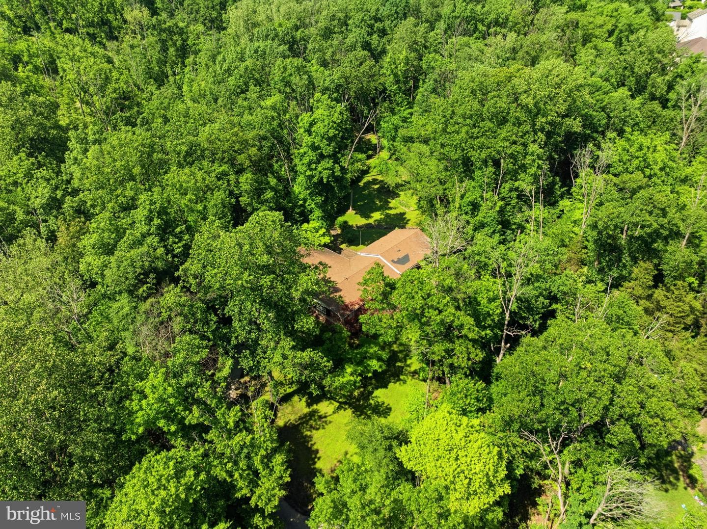 1701 Bahr Road photo 43