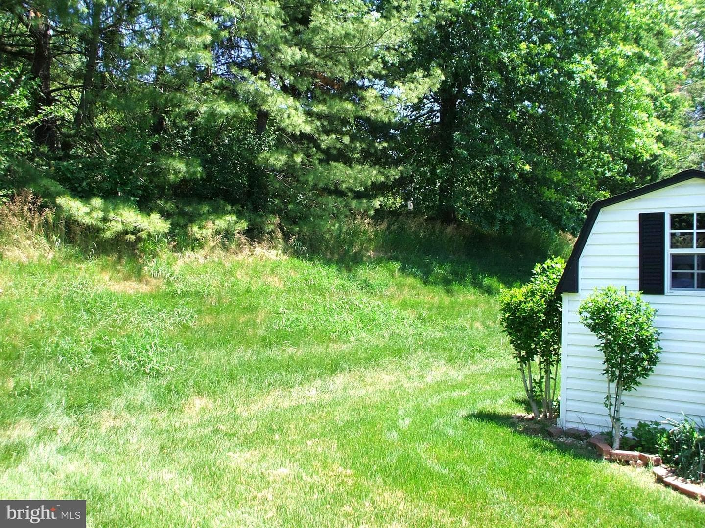 14 Woodbine Court W photo 37