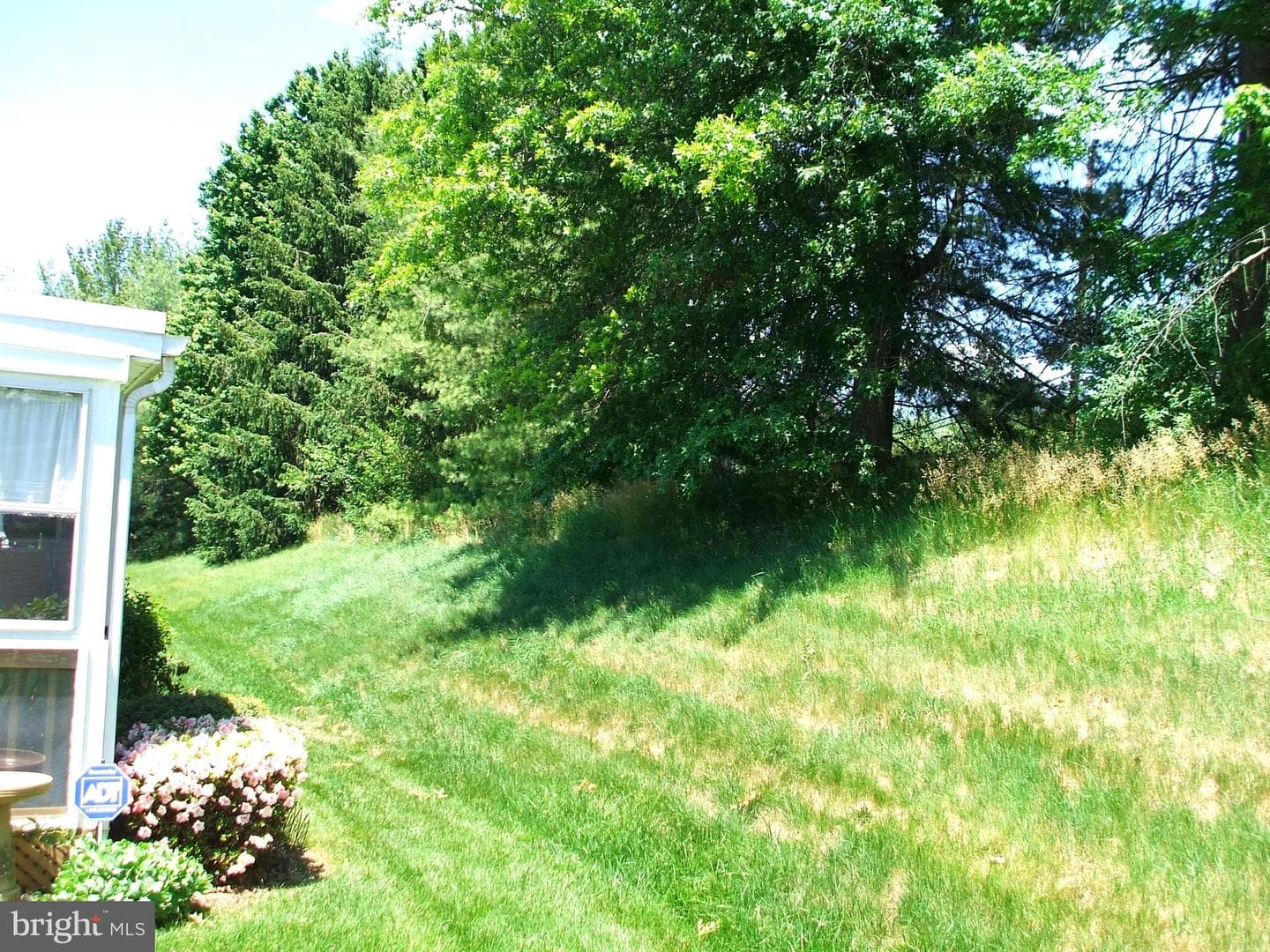 14 Woodbine Court W photo 38