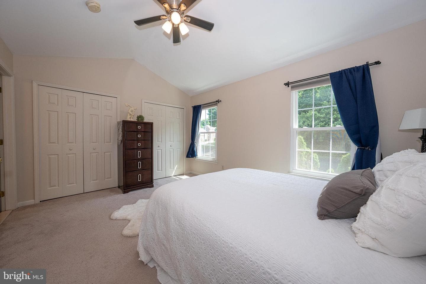 3 Cameron Court photo 22