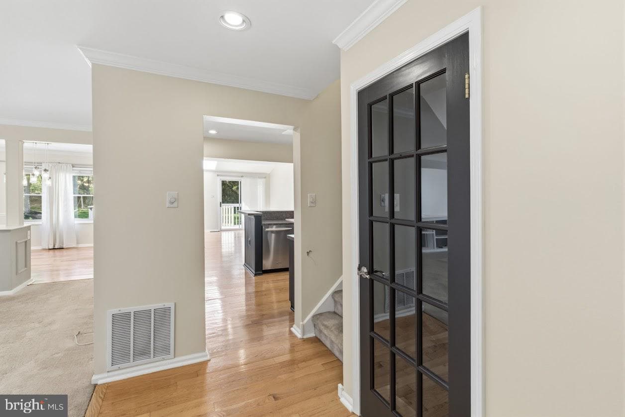 205 Polo Drive photo 5